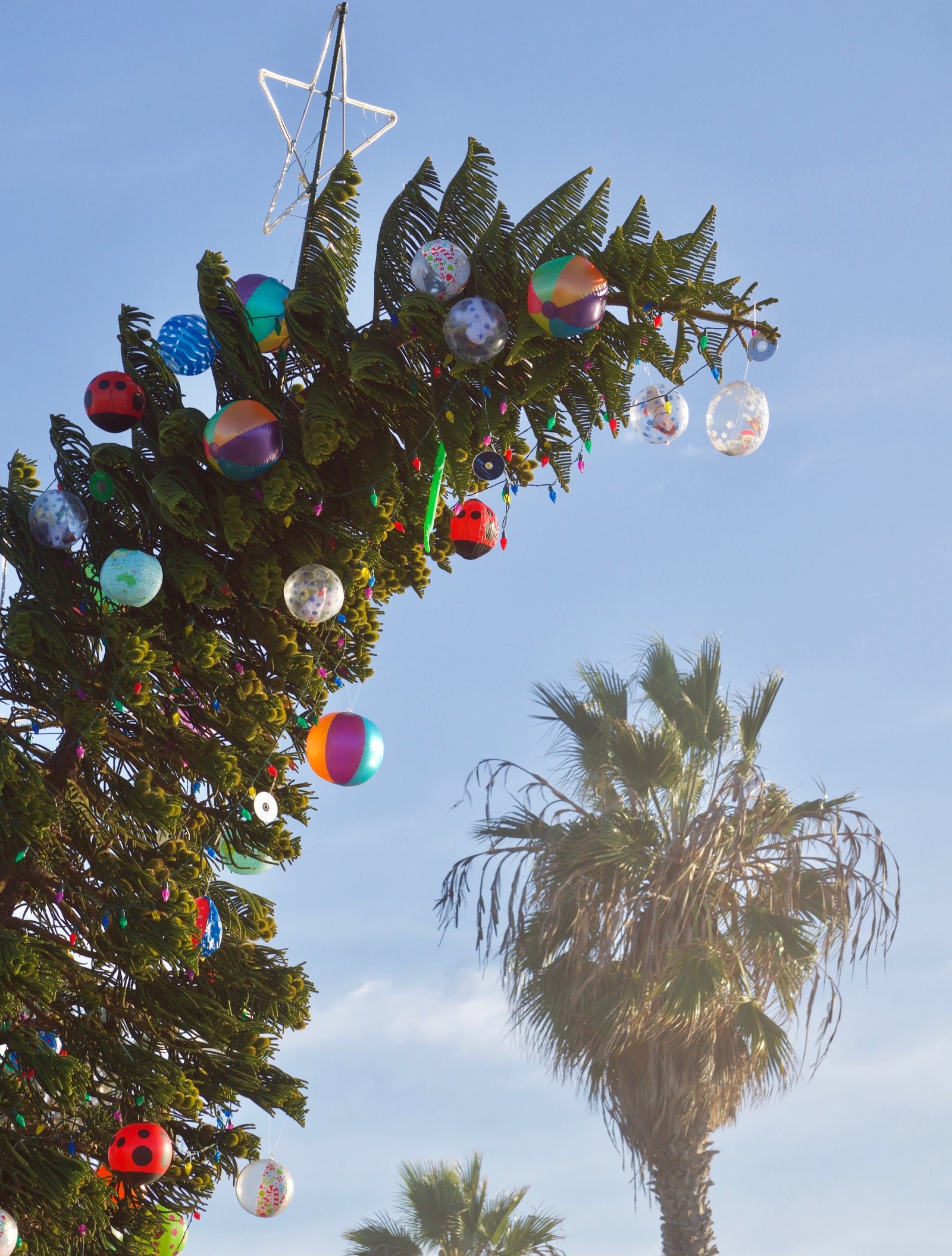 Noël à Hawaï ? Oui, Mais pas sans une Chemise Hawaïenne
